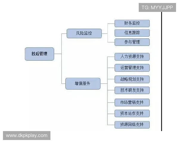 德州扑克网页游戏中的资金管理与风险控制策略详解