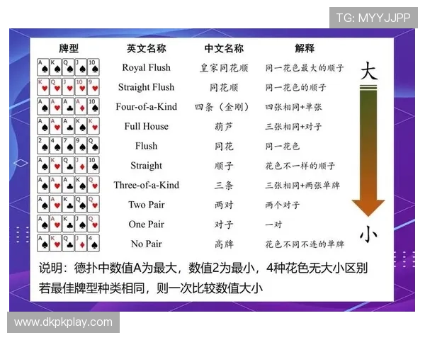 掌握扑克牌德州规则：从入门到高手的完整学习路径