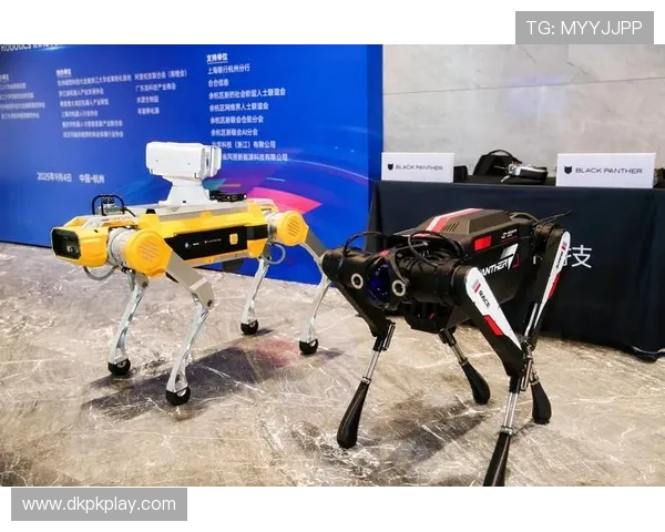 深入了解pock在现代科技中的创新用途与未来潜力分析